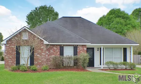 13320 David Lee Dr, Walker, LA 70785 photo 1