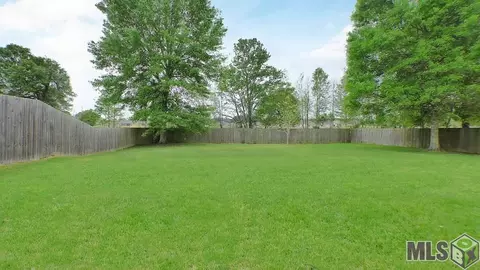 13320 David Lee Dr, Walker, LA 70785 photo 10