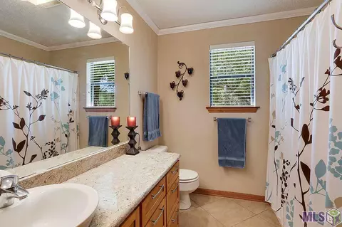 18961 River Bend Rd, Maurepas, LA 70449 photo 6