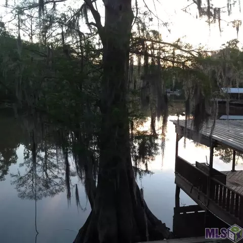 14741 Paradise Rd, Maurepas, LA 70449 photo 1