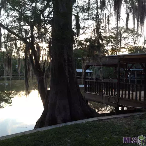 14741 Paradise Rd, Maurepas, LA 70449 photo 6