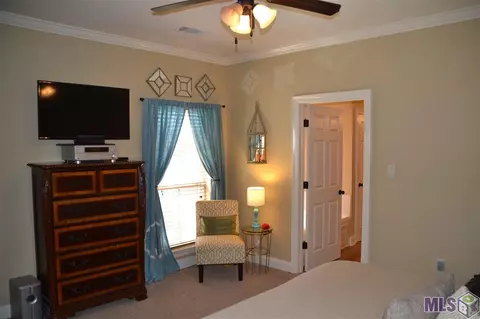 15093 Coldwater Dr, Walker, LA 70785 photo 12