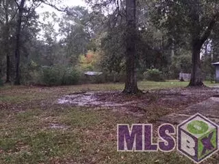 31135 Pace Ln, Walker, LA 70785 photo 3