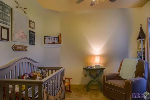 32743 Maci Dr, Walker, LA 70785 photo 13