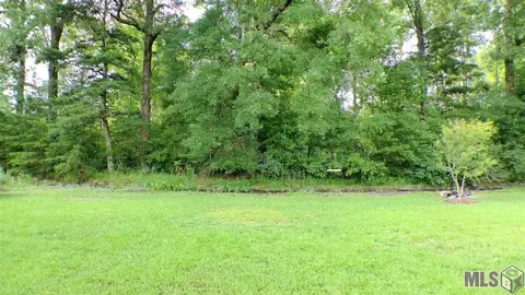 12248 Creekside Ave, Walker, LA 70785 photo 9