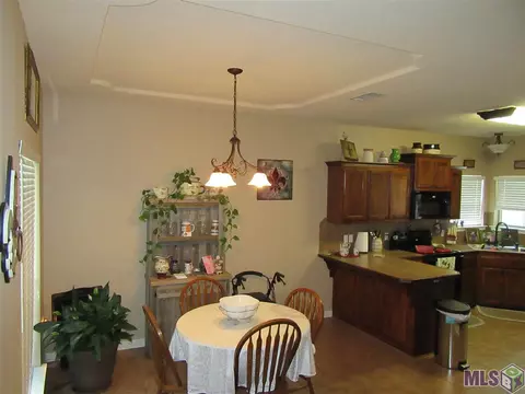 13625 Hopehaven, Walker, LA 70785 photo 10