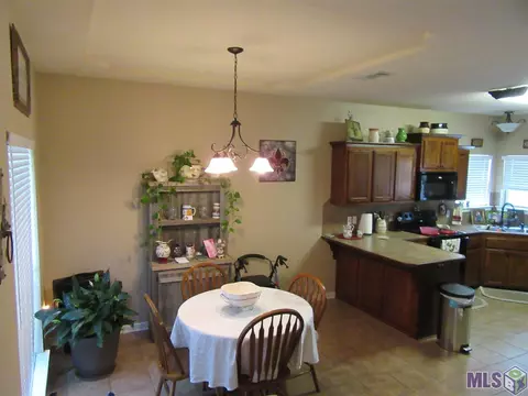 13625 Hopehaven, Walker, LA 70785 photo 13