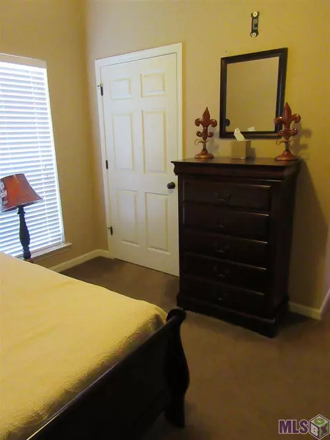13625 Hopehaven, Walker, LA 70785 photo 15