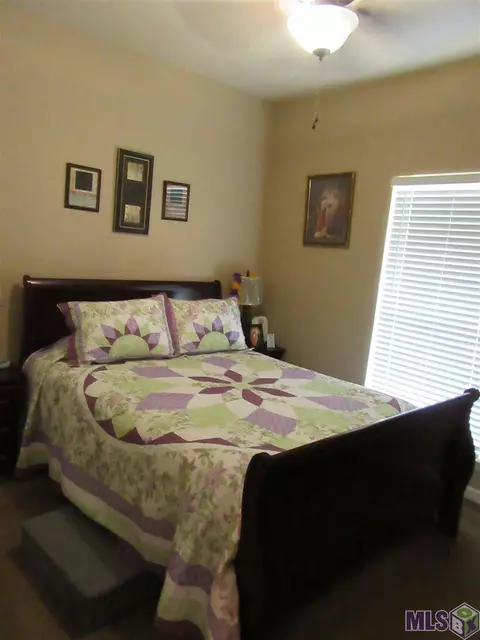 13625 Hopehaven, Walker, LA 70785 photo 16