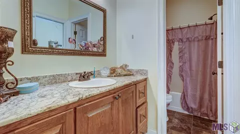 32968 Briar Oak Dr, Walker, LA 70785 photo 20