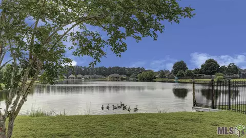32968 Briar Oak Dr, Walker, LA 70785 photo 24