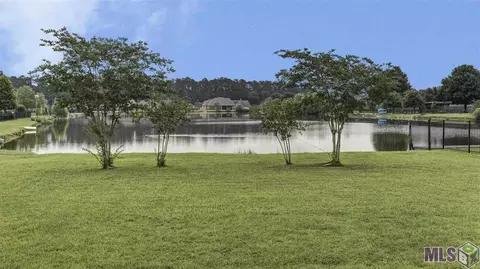 32968 Briar Oak Dr, Walker, LA 70785 photo 25