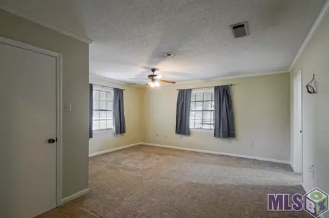 13170 Joycelyn, Walker, LA 70785 photo 5