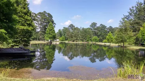 33425 Percy Young Rd, Walker, LA 70785 photo 3