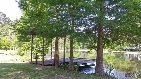 33425 Percy Young Rd, Walker, LA 70785 photo 2