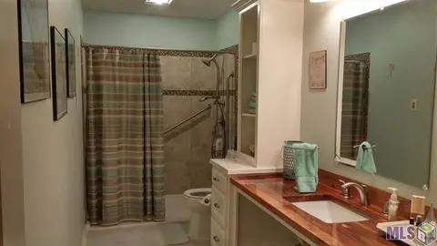 33425 Percy Young Rd, Walker, LA 70785 photo 19