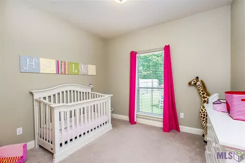 33237 Cross Trl, Walker, LA 70785 photo 10