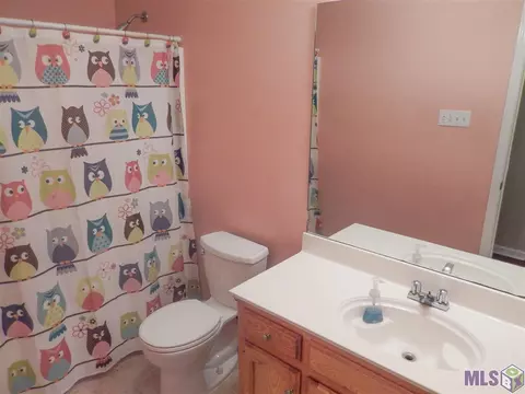 13701 Joseph St, Walker, LA 70785 photo 8