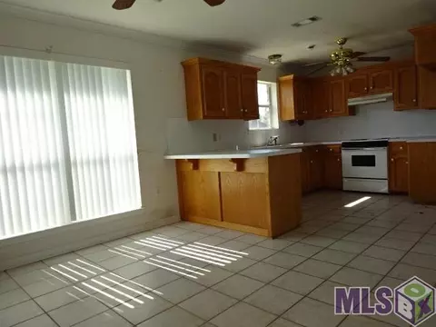 13604 Prairie Ln, Walker, LA 70785 photo 4