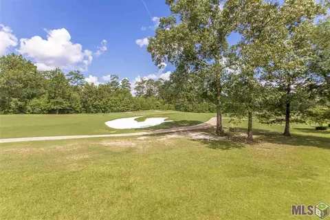 23751 Monarch Pt, Springfield, LA 70462 photo 23