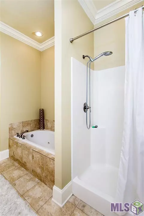 23751 Monarch Pt, Springfield, LA 70462 photo 18