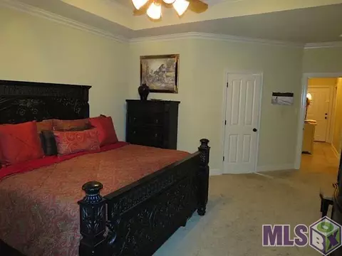 13362 Brookcrest Dr, Walker, LA 70785 photo 13