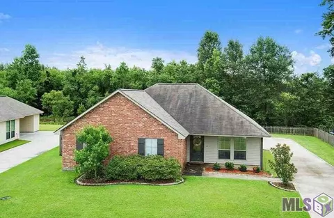 12290 Creekside Ave, Walker, LA 70785 photo 1