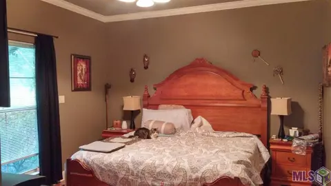 33345 Nancy Dr, Walker, LA 70785 photo 18