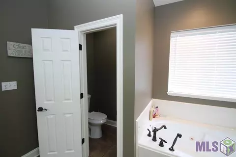 34254 Spring Lake Dr, Walker, LA 70785 photo 16