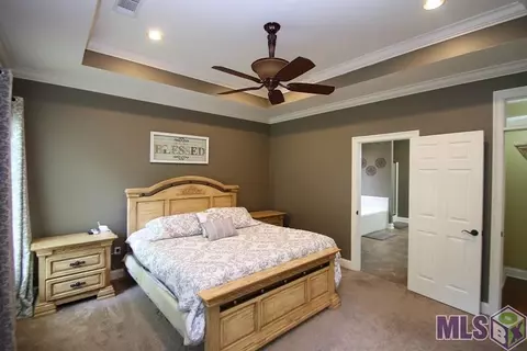 34254 Spring Lake Dr, Walker, LA 70785 photo 13