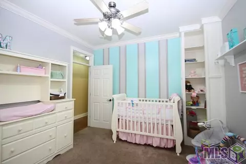 34254 Spring Lake Dr, Walker, LA 70785 photo 24