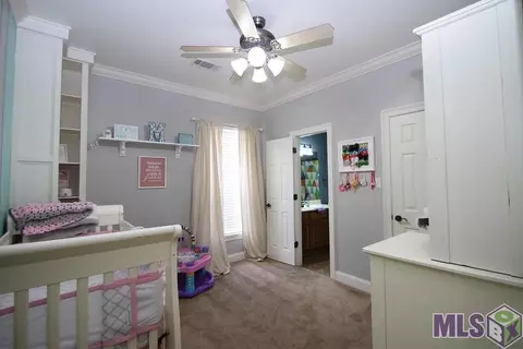 34254 Spring Lake Dr, Walker, LA 70785 photo 26