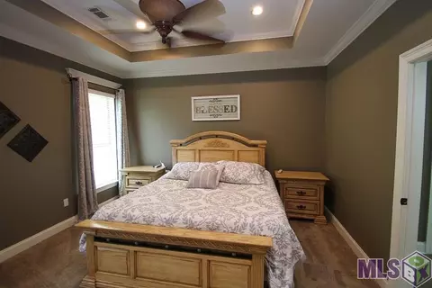 34254 Spring Lake Dr, Walker, LA 70785 photo 12