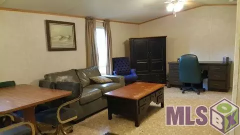 13115 Deer St, Maurepas, LA 70449 photo 12