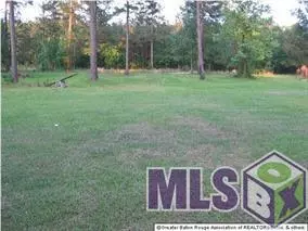 33586 Nancy Dr, Walker, LA 70785 photo 7