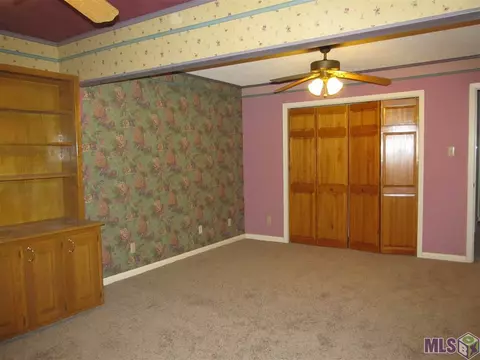 31556 River Pines Dr, Springfield, LA 70462 photo 19