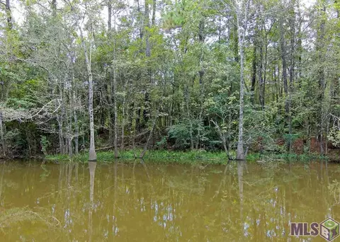 31556 River Pines Dr, Springfield, LA 70462 photo 38