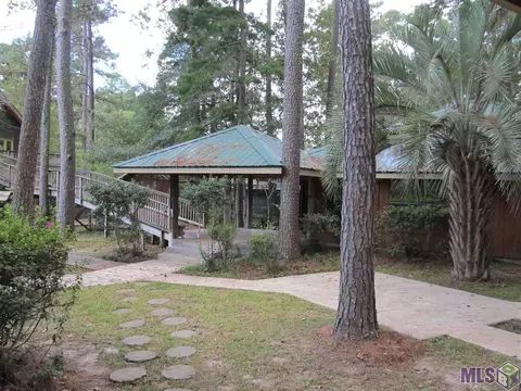 31556 River Pines Dr, Springfield, LA 70462 photo 20