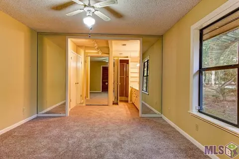 31556 River Pines Dr, Springfield, LA 70462 photo 13