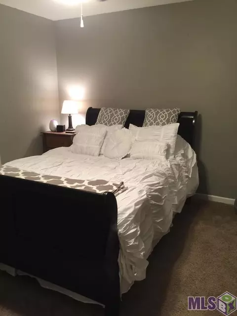 33141 Duff Rd, Walker, LA 70785 photo 9