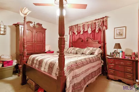 29738 Tulip St, Walker, LA 70785 photo 8