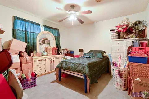 29738 Tulip St, Walker, LA 70785 photo 9