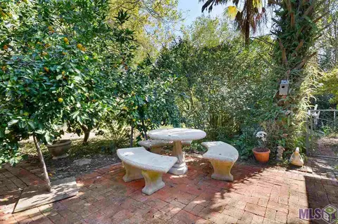 29738 Tulip St, Walker, LA 70785 photo 17