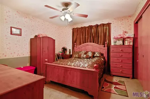 29738 Tulip St, Walker, LA 70785 photo 10