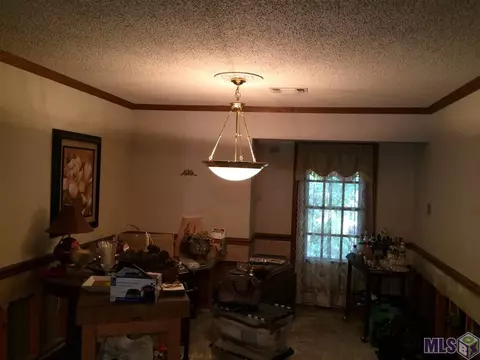 14168 Meadowbrook Ln, Walker, LA 70785 photo 3