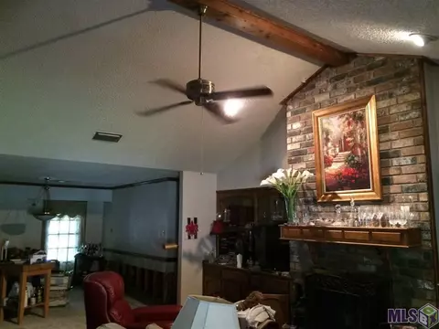 14168 Meadowbrook Ln, Walker, LA 70785 photo 2