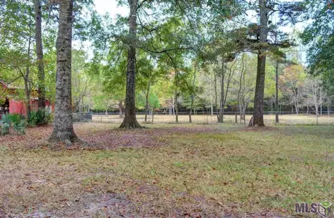 33647 Duff Rd, Walker, LA 70785 photo 13