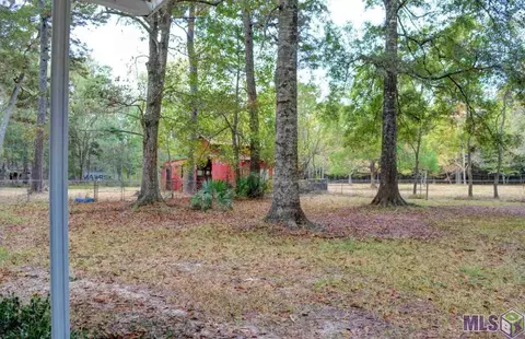 33647 Duff Rd, Walker, LA 70785 photo 14