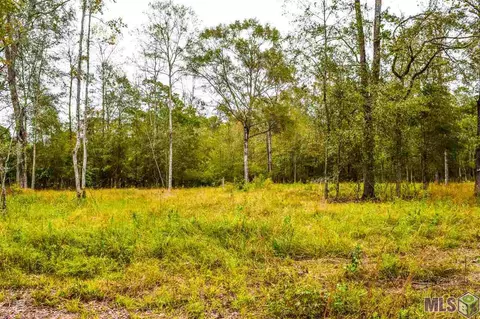 20009 Steve Hughes Rd, Walker, LA 70785 photo 1