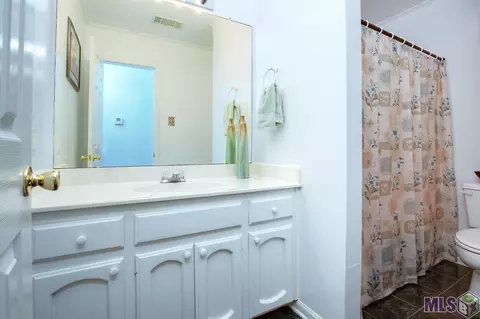 29690 Melanie St, Walker, LA 70785 photo 11
